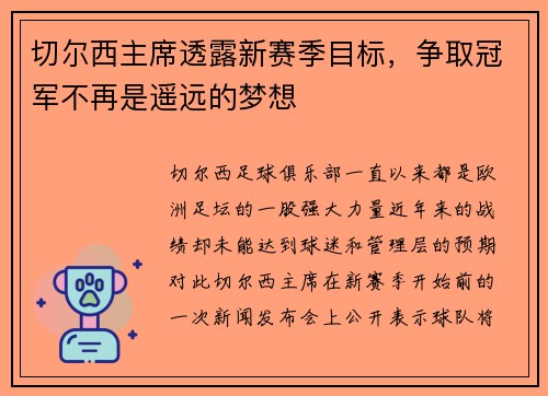 切尔西主席透露新赛季目标，争取冠军不再是遥远的梦想