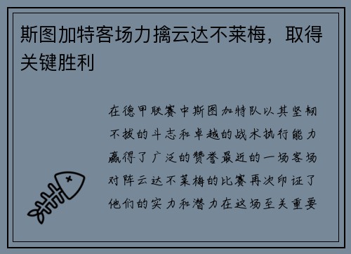 斯图加特客场力擒云达不莱梅，取得关键胜利