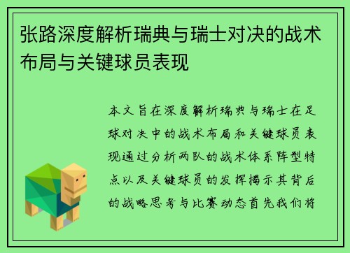 张路深度解析瑞典与瑞士对决的战术布局与关键球员表现
